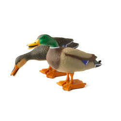 G&H Full Body Mallard Duck Decoys 4 Pack
